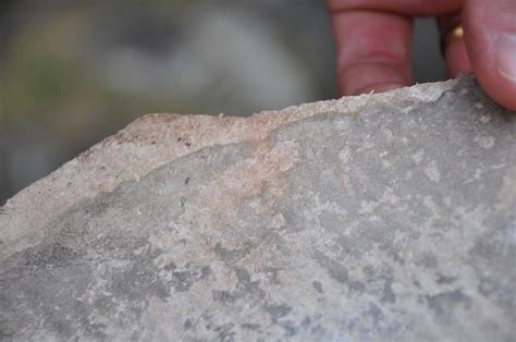 hardiflex identification|Cement sheeting and asbestos .